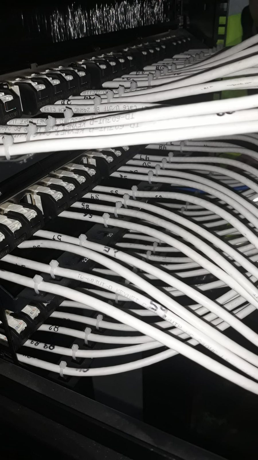 Latiguillos de red peinados y numerados en la parte trasera de un rack